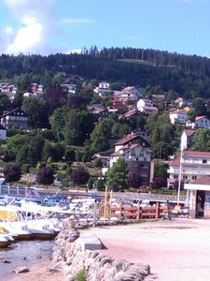 Studio Cosy Avec Vue Sur Lac Et Montagne A Gerardmer 30 M² Eksteriør bilde